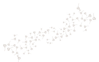 Dandelion Flower Logo Design Minimalist Template V23