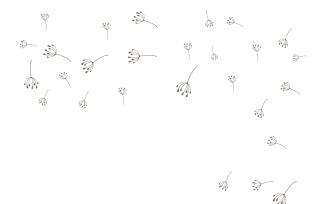 Dandelion Flower Logo Design Minimalist Template V32
