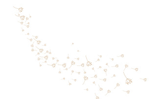 Dandelion Flower Logo Design Minimalist Template V33