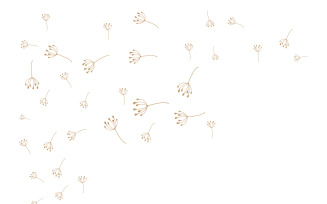 Dandelion Flower Logo Design Minimalist Template V36