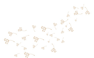 Dandelion Flower Logo Design Minimalist Template V39