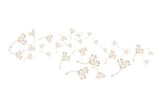 Dandelion Flower Logo Design Minimalist Template V5