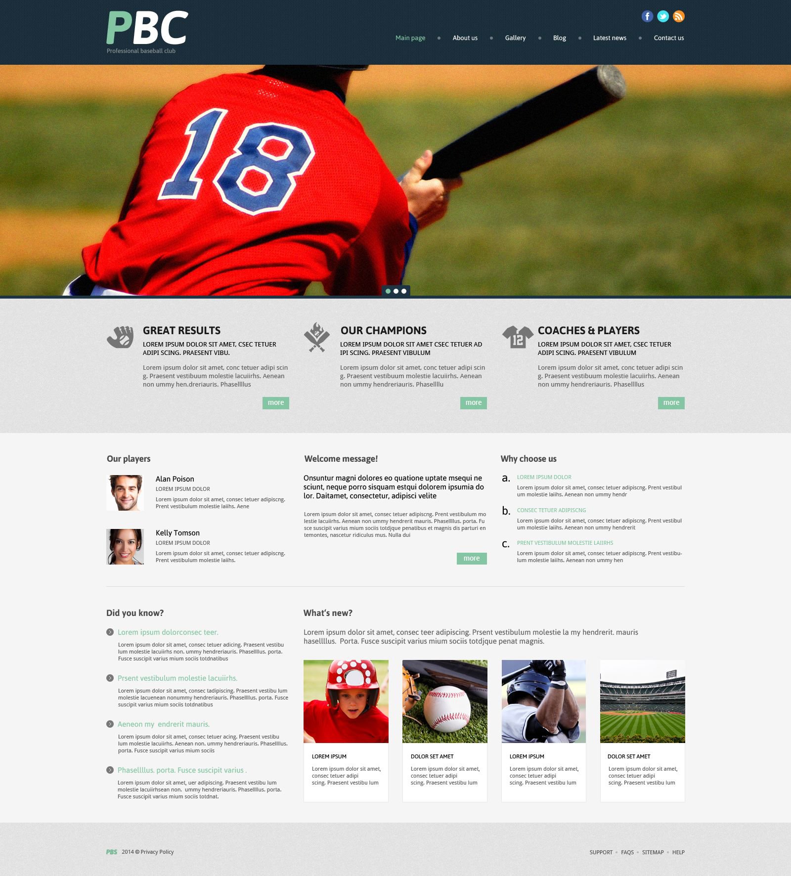 Tema De WordPress Responsive para Sitio de Béisbol #53996