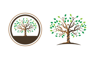 Family tree vector icon illustration design v2.1