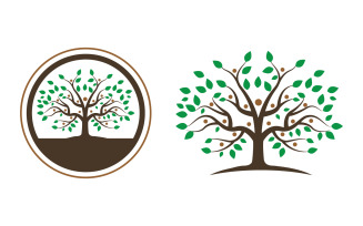 Family tree vector icon illustration design v2.2