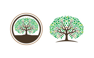 Family tree vector icon illustration design v2.3