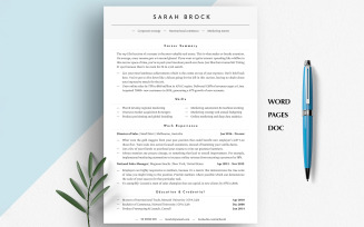 EXECUTIVE RESUME TEMPLATE | ATS-Friendly Executive Resume | Editable in Word, Pages, Google Docs