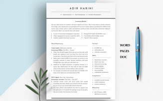 FINANCIAL RESUME TEMPLATE | Finance Manager CV | Accountant Resume | Word, Pages & Google Docs