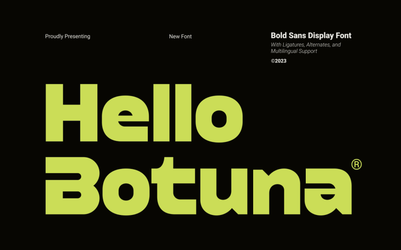 Hello Botuna Bold Sans Display Font