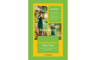 Instagram Stories Plantation Tricks