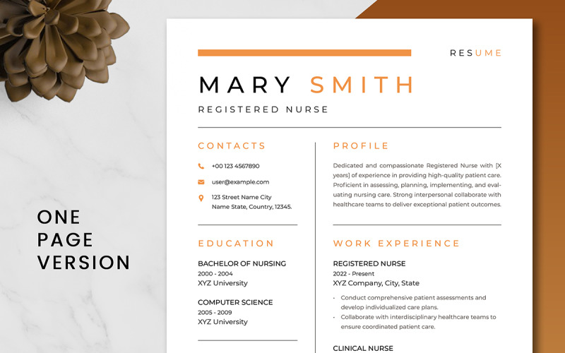 Registered Nurse Resume Template