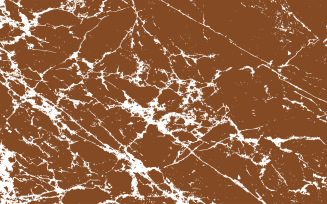 Brownie White Grungy Texture Background