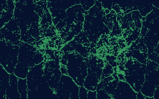 Coral Reef Green Grungy Texture Background