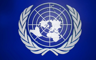 3D UN emblem _United_Nations