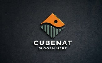 Geometric Nature Cube Logo