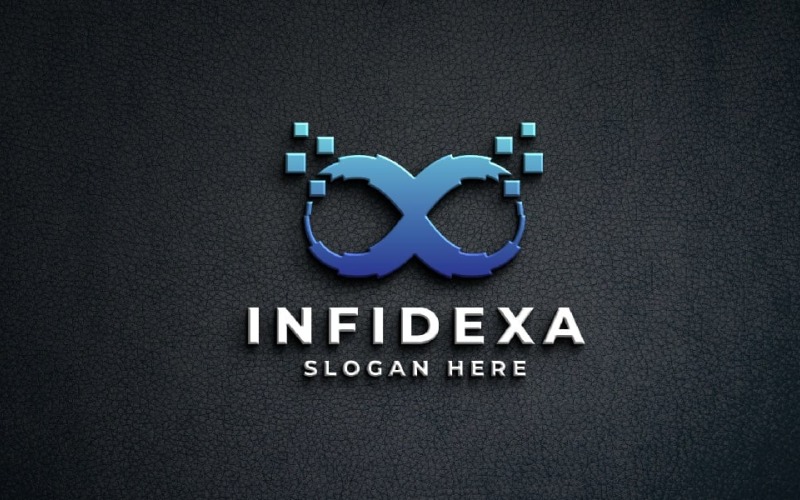 Digital Infinity Tech Logo Logo Template