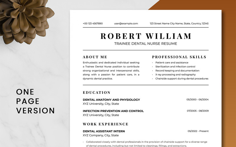 Clean ATS Friendly Trainee Dental Nurse Resume Resume Template