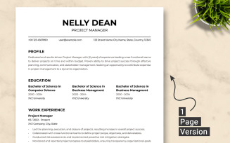 Project Manager Resume Template