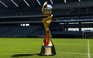 FIFA Women's World Cup Trophy 3d model