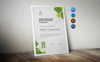 Professional Certificate Design, Instant Download, MS Word & Canva