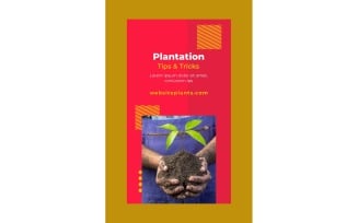 Instagram Stories Plantation