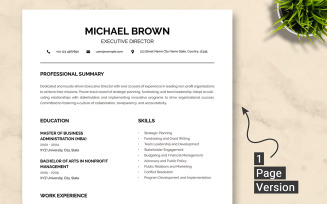 ATS Executive Director Resume Template