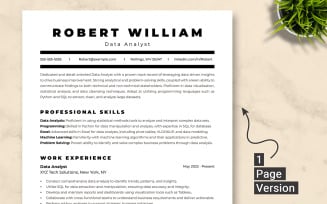 Data Analyst Resume Template for Word and Google Docs