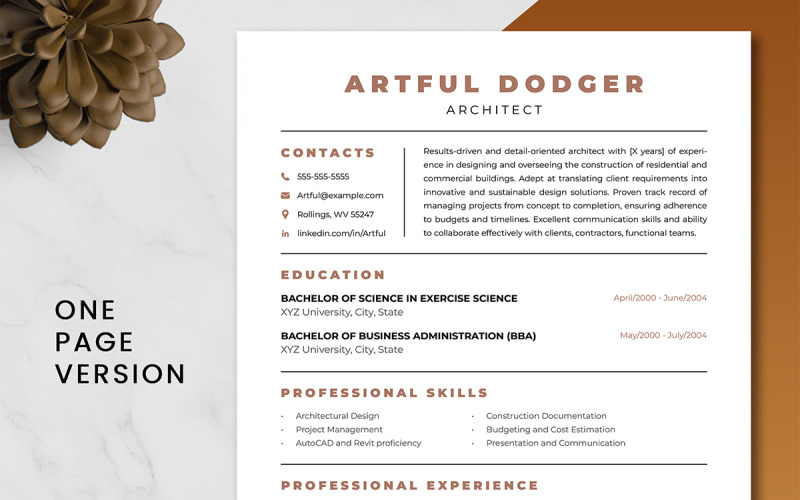 Architect Resume Template | Professional Resume Template Without Photo