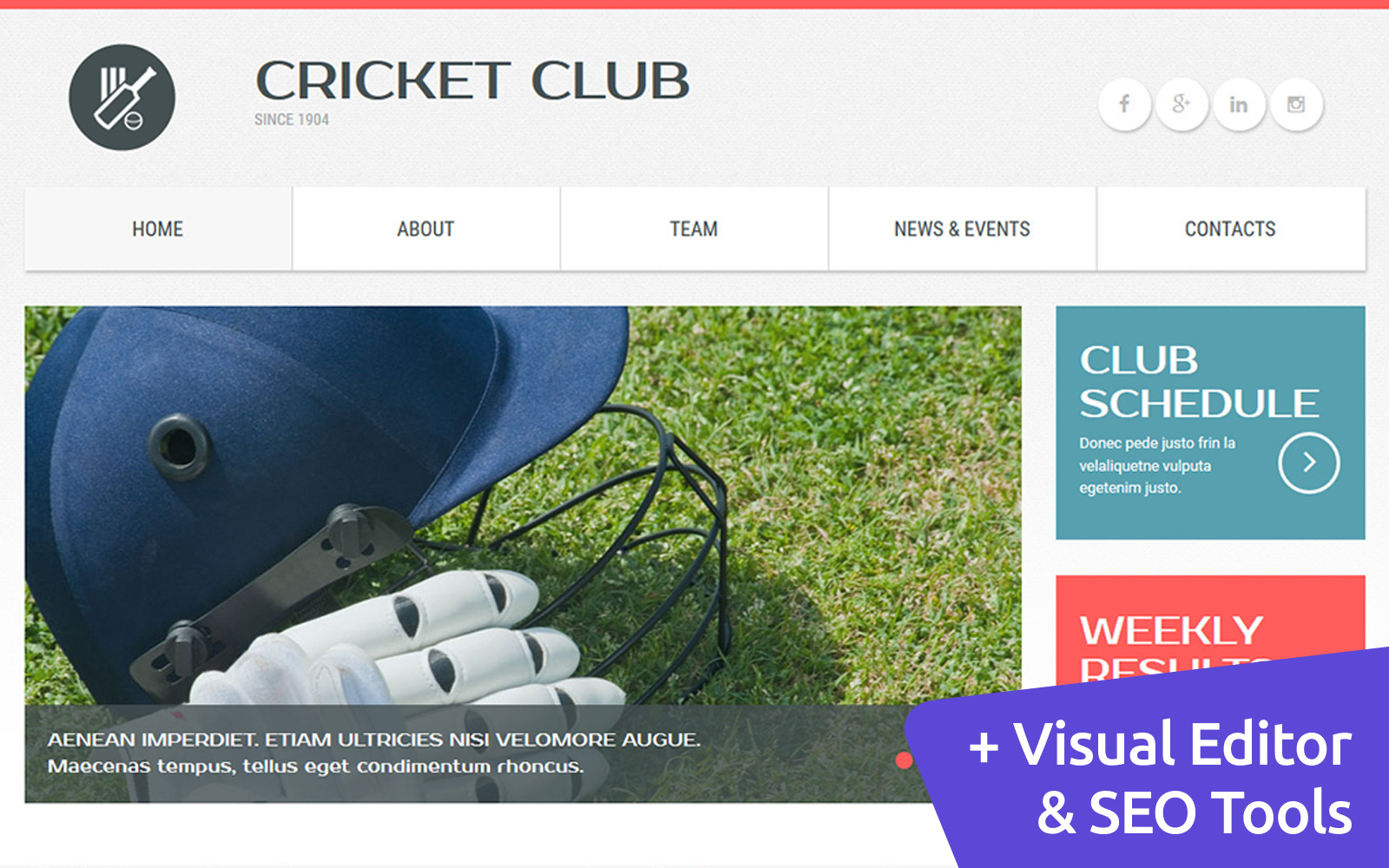 "Cricket Club Moto CMS 3 Template" Responsive Moto CMS 3 Template №54638