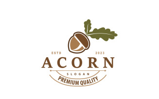Acorn Logo Nut Design Oak Simple Vector V6