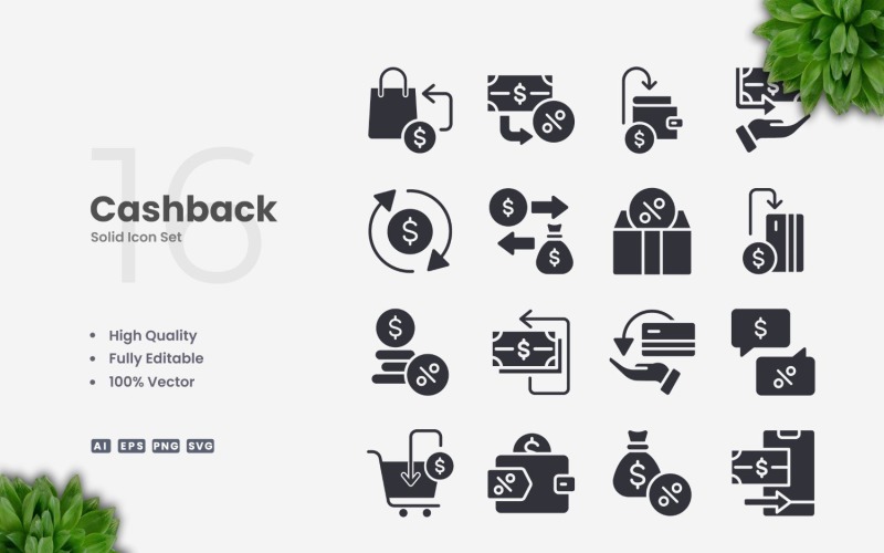 16 Cashback Solid Icons Set Icon Set
