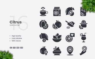 16 Citrus Solid Icons Set
