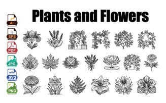 Elegant Plants and Flowers Vector Icon