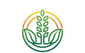 Wheat Logo Graphic Template Design