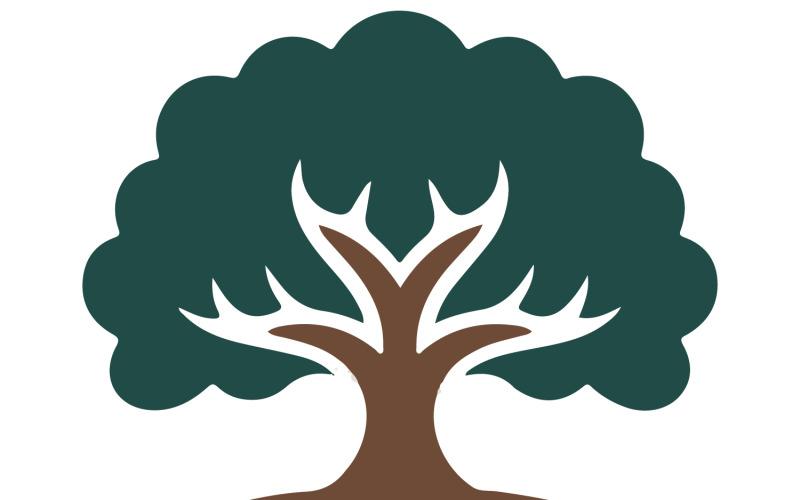 A logo design featuring a oak tree Illustration