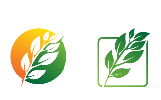Leaf Logo Template with Gradient Color
