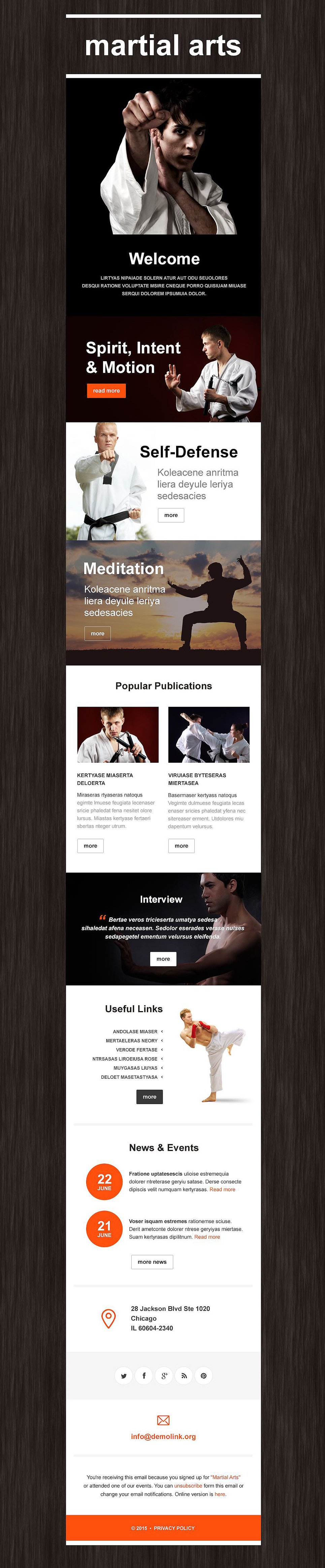 Martial Arts Responsive Newsletter Template New Screenshots BIG