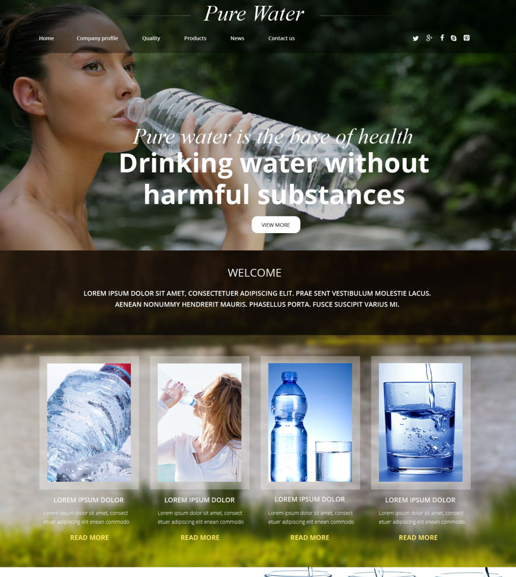 Demo Preview for Pure Water Website Template #54887