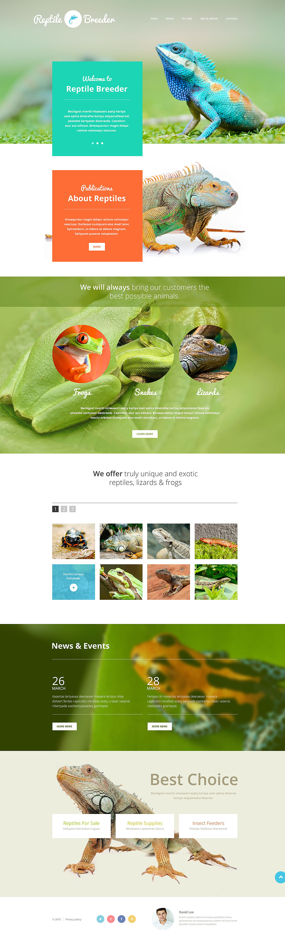 Reptile Breeder Website Template New Screenshots BIG