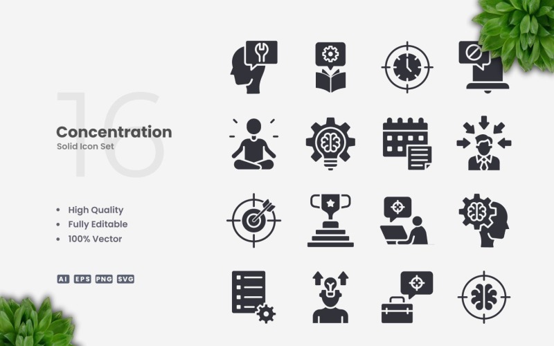 16 Concentration Solid Icons Set Icon Set