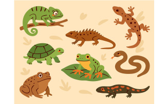 Group of Reptiles on White Background