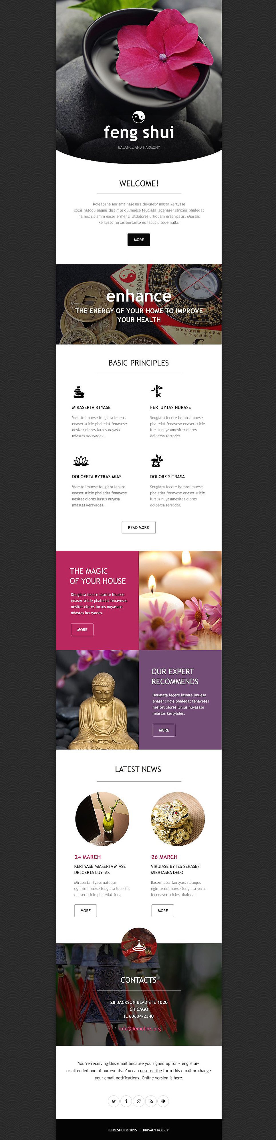 Feng Shui Responsive Newsletter Template New Screenshots BIG