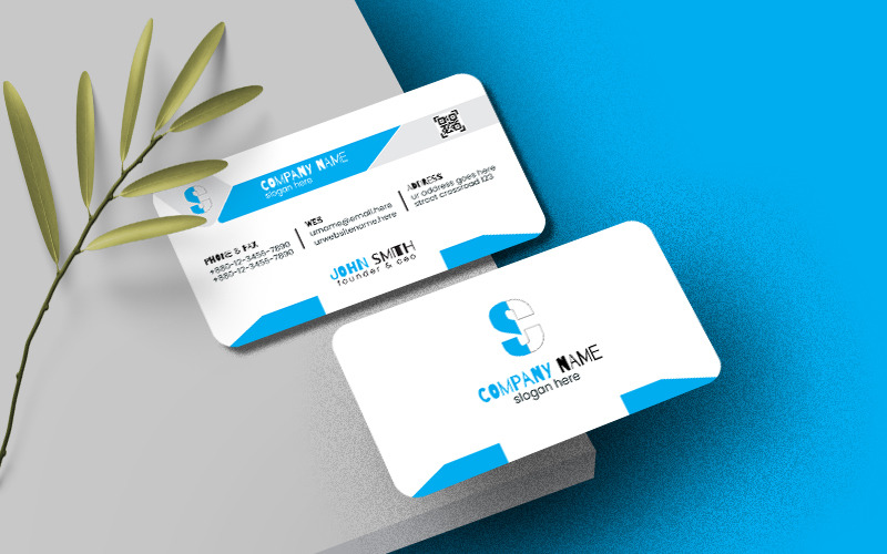 Professional Visiting Card Corporate Identity