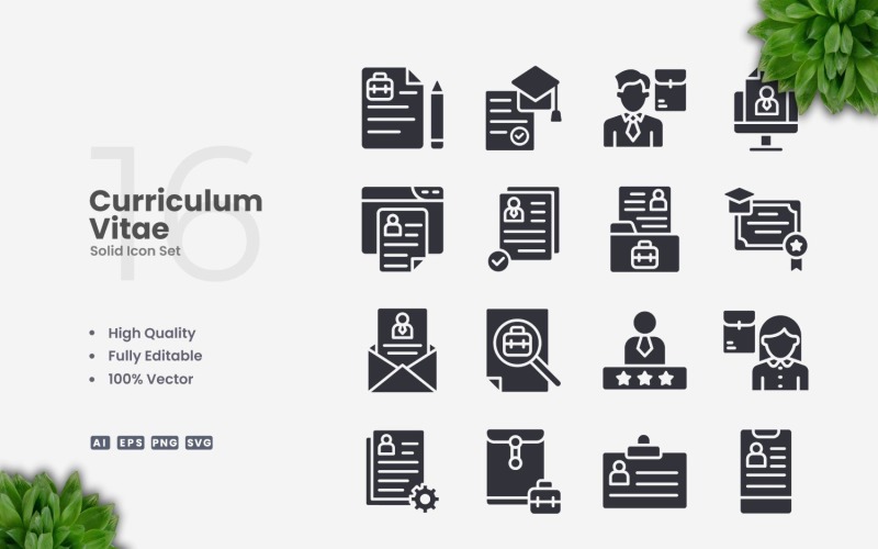 16 Curriculum Vitae Solid Icons Set Icon Set