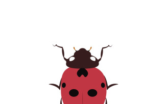 Vibrant Red Ladybug Insect Illustration for Nature Designs