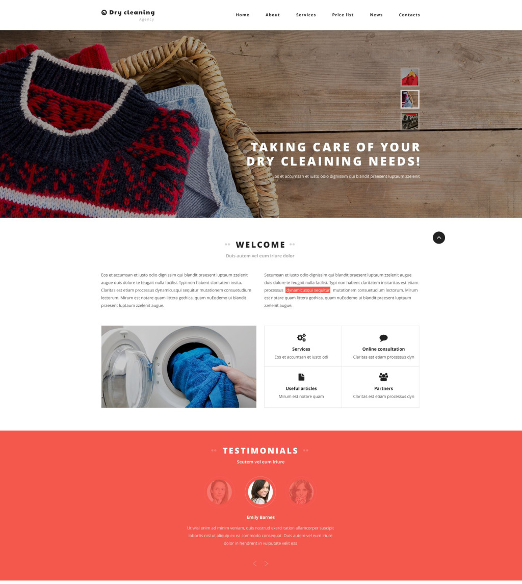 Dry Cleaner Web Template