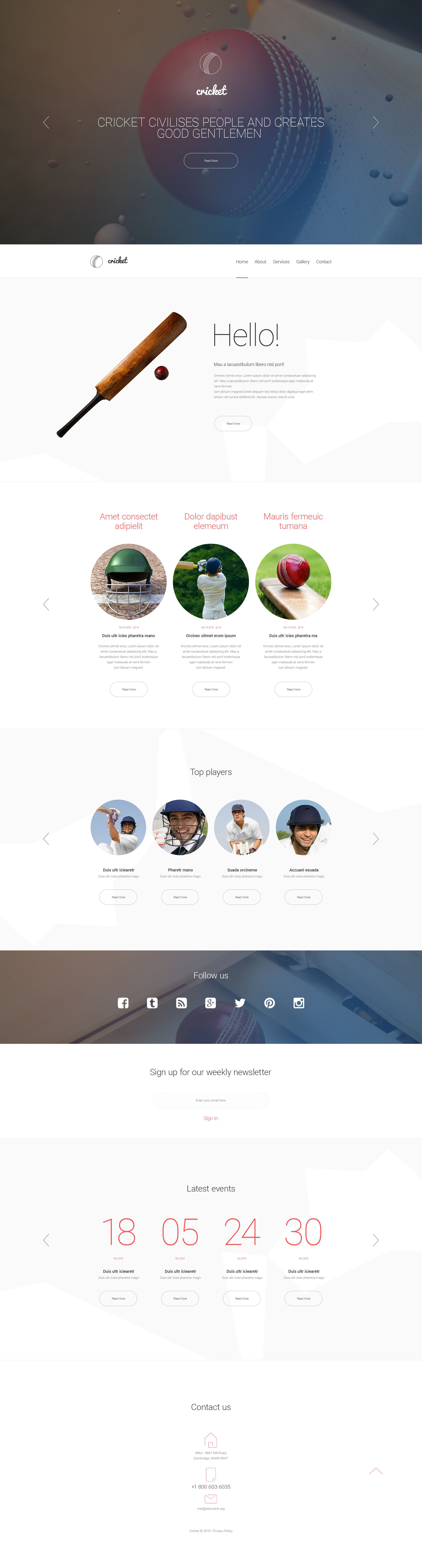 "Cricket" Responsive Website template №55075