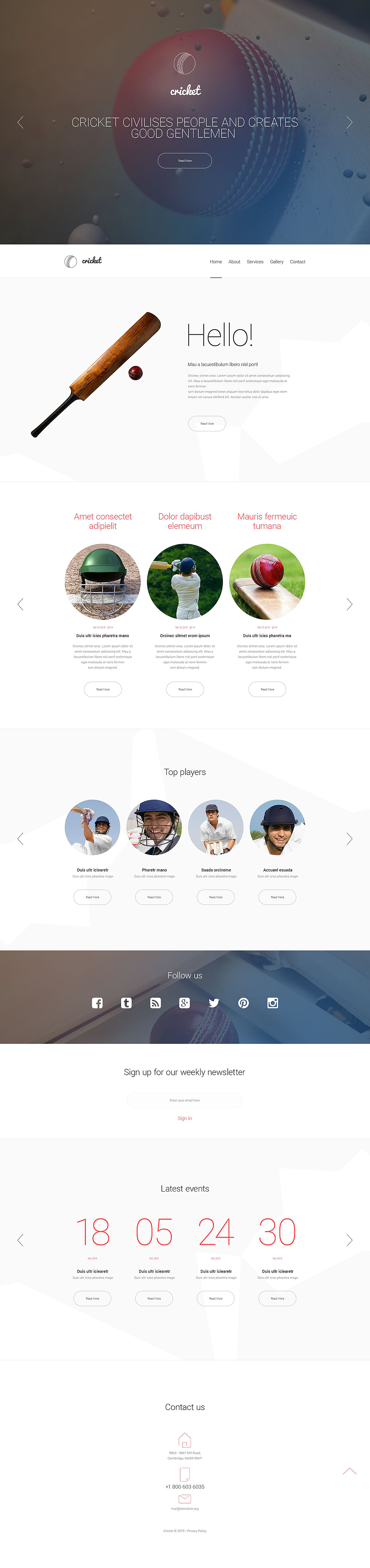 Cricket Web Template