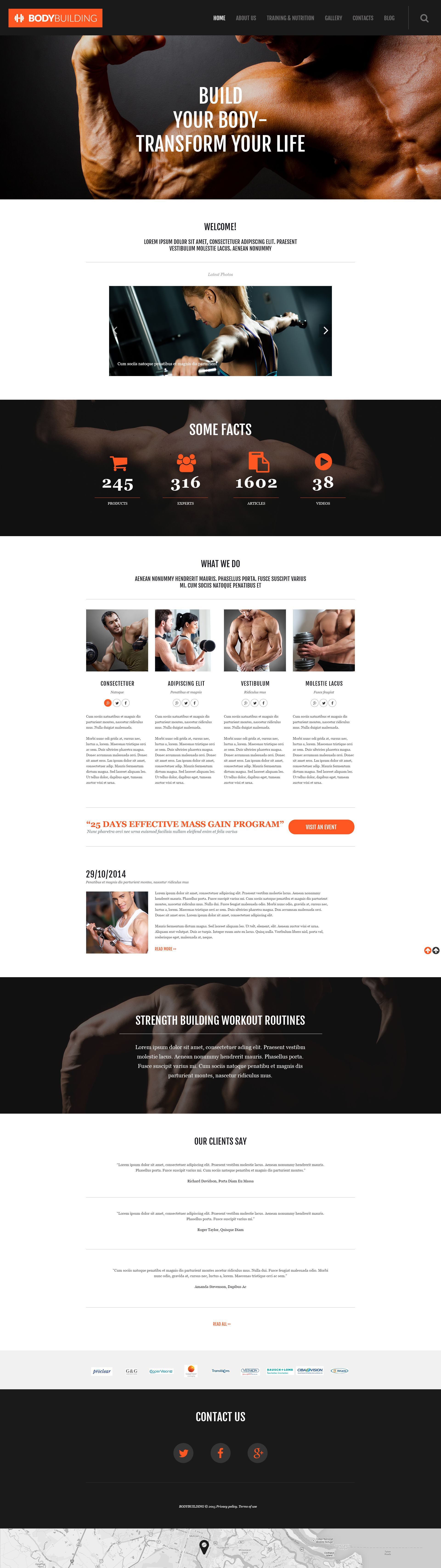 Responsives WordPress Theme für Fitness #55028