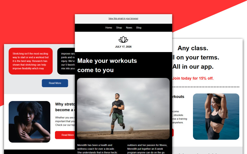Mailchimp Responsive Email Template 016 Newsletter Template